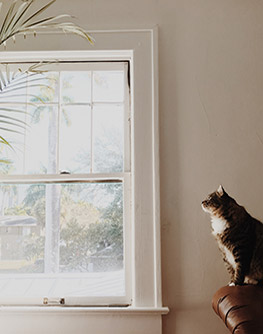 Holzfenster mit Katze