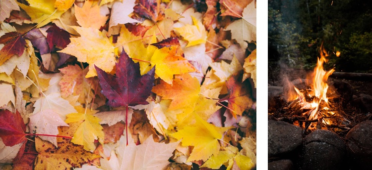 Herbstblätter und Lagerfeuer