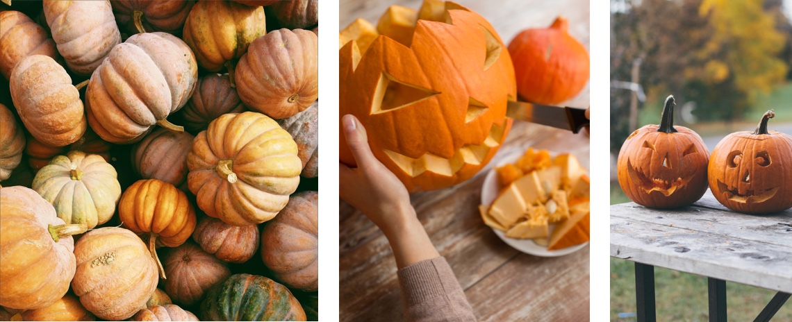 Kürbisse schnitzen für Halloween