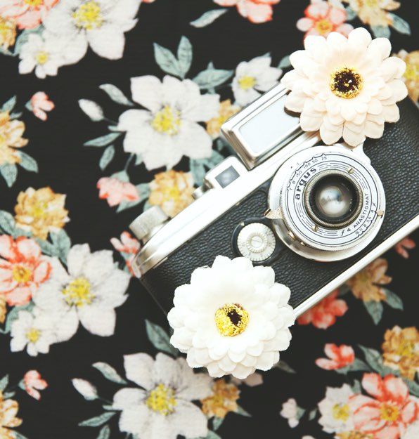 Blumen auf der Kamera