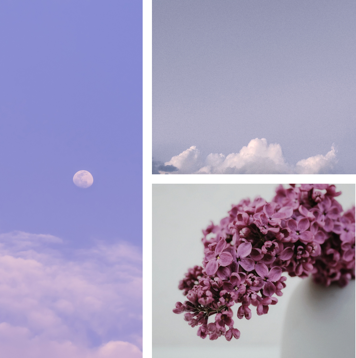 Collage von Stimmungsbildern, die die Nuancen von Violett abdecken