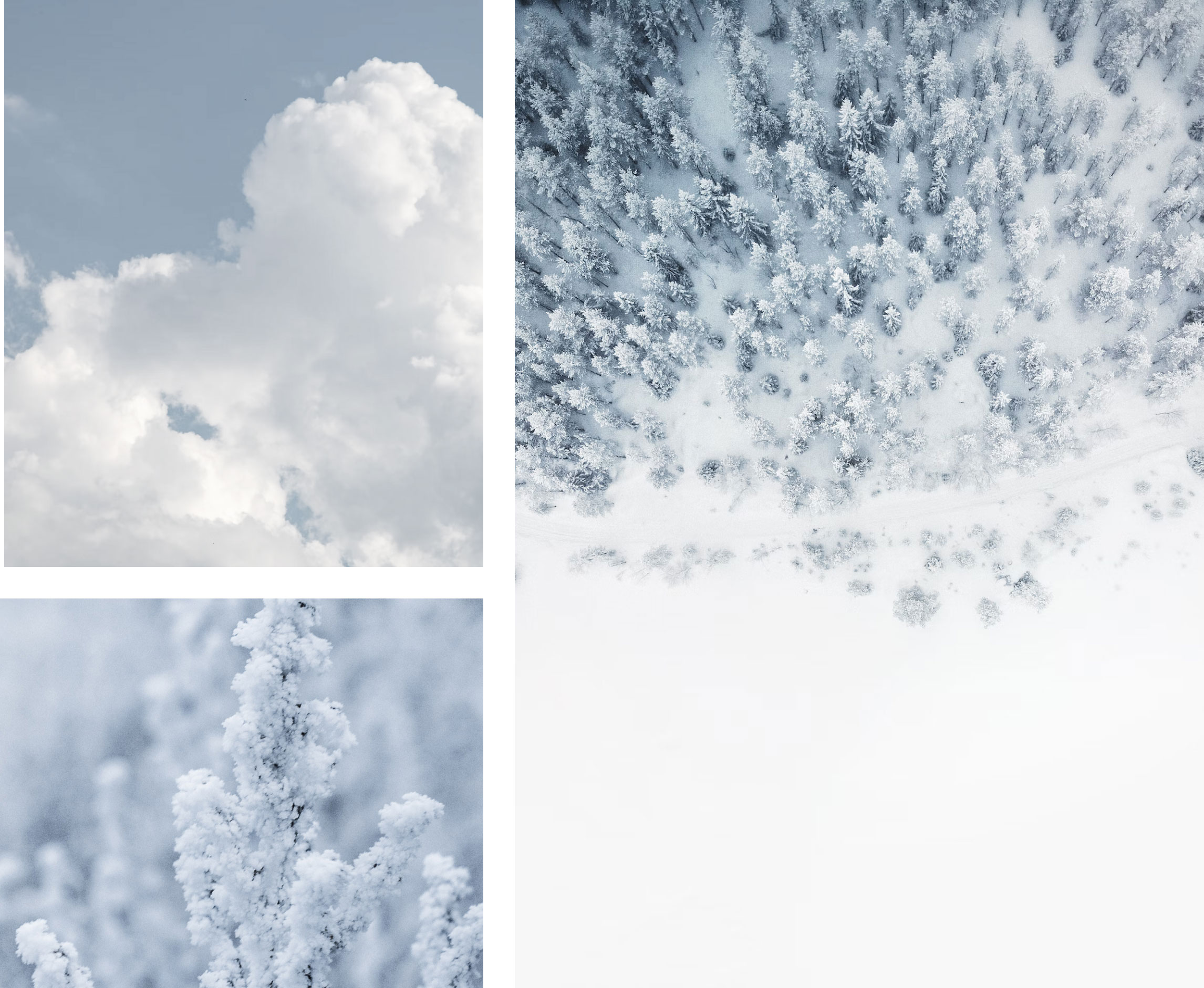 Collage zum Thema Schnee