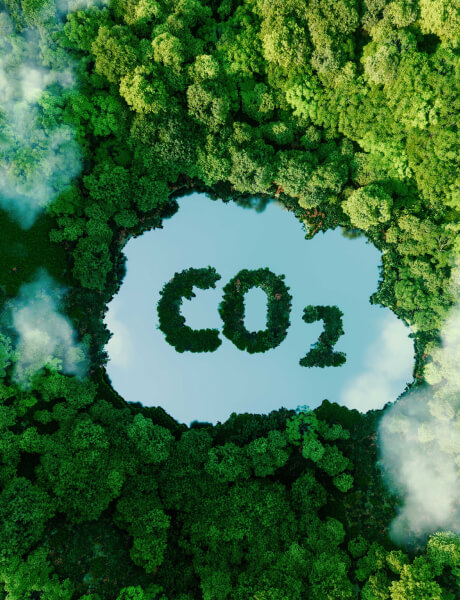 CO2 Wald