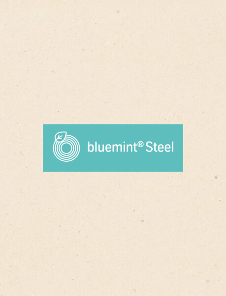 Logo bluemint Steel