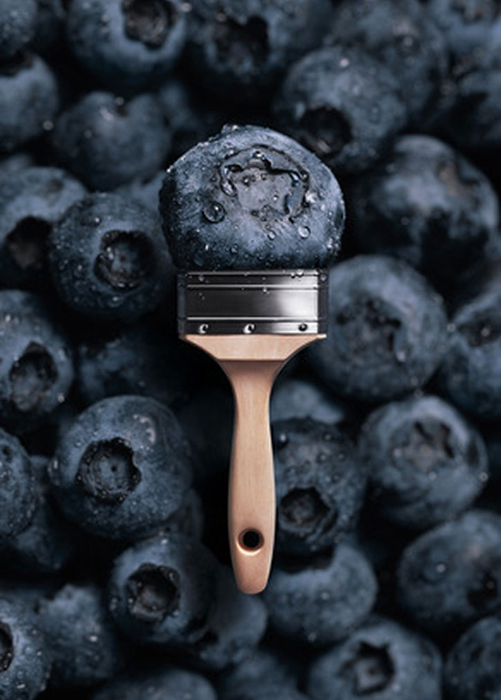 Trendfarbe "Blueberry"