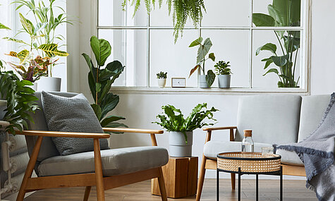 Wohnzimmer mit Zimmerpflanzen für Stelton Isolierkanne für Greentend SCHÖNER-WOHNEN-Farbe 