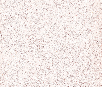 Granat auf Trendfarbe Pearl